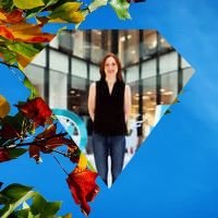 sgn_etwork's profile picture. press media agency,public relations