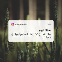 وائل المشولي (@waylalmshwly1) Twitter profile photo