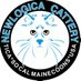 USA SoCal Maine Coon Newlogica Cattery (@NewLogica) Twitter profile photo