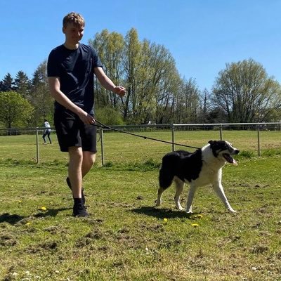 MintJoeDH's profile picture. @Mutantshibaclub - Moderator discord:!PigMo#9350