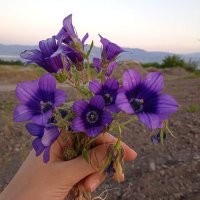 Formasyon (@rumyy_e) 's Twitter Profile Photo