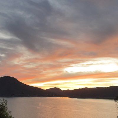 discusionhoy's profile picture. denuncia ciudadana