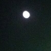 Bin Abdullah (@roguend) 's Twitter Profile