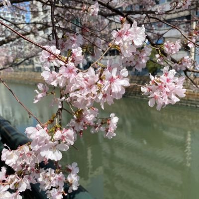 JAT18034908's profile picture. 気ままに生きたい勤勉な30代サラリーマン🤣