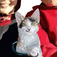 Küçümsiyasümük (@kucumsiyasumuk) Twitter profile photo