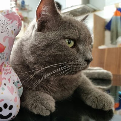 UnsortedWeewoo's profile picture. Game developer on Roblox.
For business inquiries: weewoo19.02.99@gmail.com

Discord: .weewoo