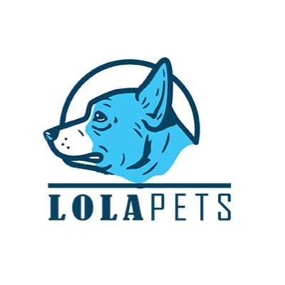 Lpetsandstore's profile picture. Pet Store 🇳🇬 || All puppies are available for new home || we deliver nationwide ✈️🇳🇬
