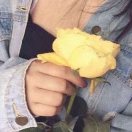 أنا و الكتمان و البرود والعناد أحباب …. عالمي هنا و انتهى .💞