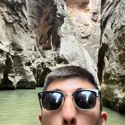 Nickadiemus's profile picture. big software engineer guy