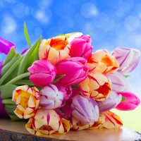 💫💦💫ابن آدم💫💦💫 (@ibneada79665258) 's Twitter Profile Photo 💫💦💫ابن آدم💫💦💫 (@ibneada79665258) 's Twitter Profile Photo