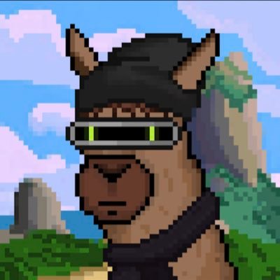 JackNFT26's profile picture. Discord Jack M#9906