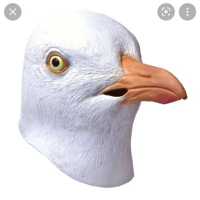 FurboGaviota's profile picture. No soy una gaviota en verda pero tengo toa la cara