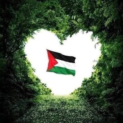 🇵🇸palestine🇵🇸
🇵🇸🇵🇸🇵🇸
🇵🇸👁✌🇵🇸