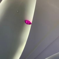 shadowww__ (@shadowo00) 's Twitter Profile