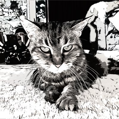 llskopec's profile picture. 