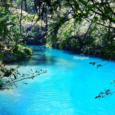 RogelioOrtegaR3's profile picture. 100% cordobes. cómo voy a perder si llegué aquí sin nada....