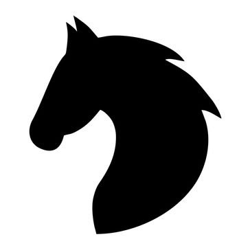 criss_dev's profile picture. 