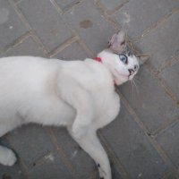 mari (@marimari33330) 's Twitter Profile