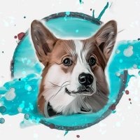 Crypto_corg (@crypto_corg) 's Twitter Profile