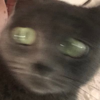 imsoreborn's profile picture. 