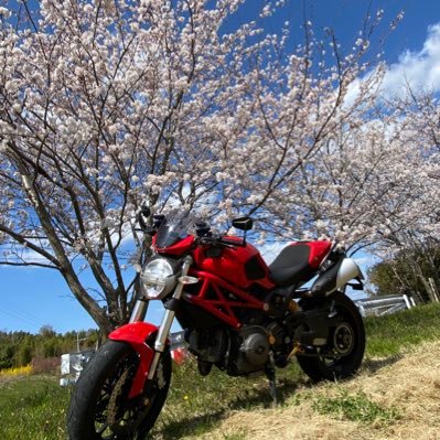 Itaru888Boss's profile picture. バイク乗りのオッさん なかなか上手くならないのが悩み バイクはモンスター796 車は最近終のくるまアバルト最後の695、チす。動く物大好き人間