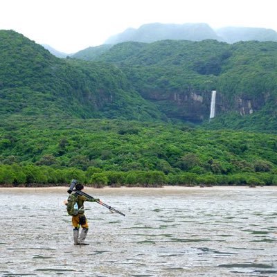 長野県中心に生き物を見ている学生。タカの渡りを中心に色々見ています。