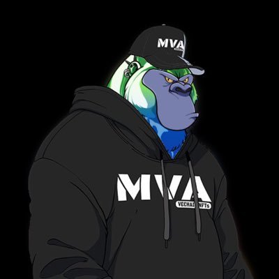 Moderator @madvapesnft 🦍 #MVA 3498 🐵 || #VeChain #NFT Collector #VNFT || Community Member & Builder