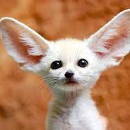 Techtrust56's profile picture. 