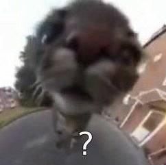 elon musk afeminado do tiktok bongsv0329 homem milionário bilionário rico parecido com o saindo de abrindo a porta da casa e indo na pra andando desfilando até