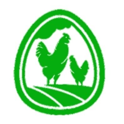 buy your affordable chicken and eggs at faune farms Nigeria kaduna.. contact 0813 743 9850 09134129351
