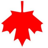 el Binobo (@jnmac4160) 's Twitter Profile