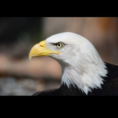 DrObiagwu's profile picture. NewLife Democratic Party is esthablished primarily for the enthroment of good governance and accountability
 in Nigeria.