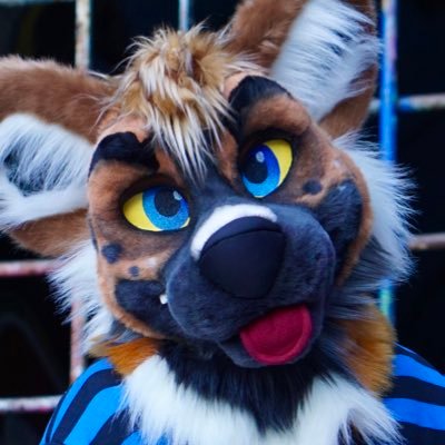 Gaines l 🌃 Wild Dog  | ✂️ Fursuit by @Madefuryou