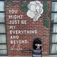 Hayley S (@hayleynicu_rd) 's Twitter Profile Photo Hayley S (@hayleynicu_rd) 's Twitter Profile Photo