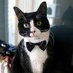 juan (@_licenciadogato) Twitter profile photo juan (@_licenciadogato) Twitter profile photo