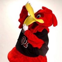 ChickenStillKickin (@kicking_chicken) 's Twitter Profile