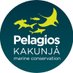 Pelagios Kakunjá (@pelagioskakunja) Twitter profile photo Pelagios Kakunjá (@pelagioskakunja) Twitter profile photo