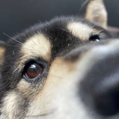 なつめさんのプロフィール画像