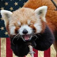 Jayden M.🇺🇸 (@redpandascool8) Twitter profile photo