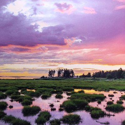 MadJuneDad's profile picture. Father of a one amazing daughter, fighting for her future, hope thru action, "Every individual makes a difference." #JaneGoodall