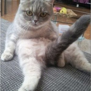 JoshS98255456's profile picture. If there is a need to have a post removed, please DM me.