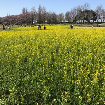 kinokopasuta456's profile picture. 裏/新潟市/34/173㌢/73㌔/太いらしいです