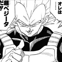 ツブクリ継承予定のベジータ (@seishinkatanka) Twitter profile photo