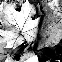 E.... (@erdem_erd3m) Twitter profile photo