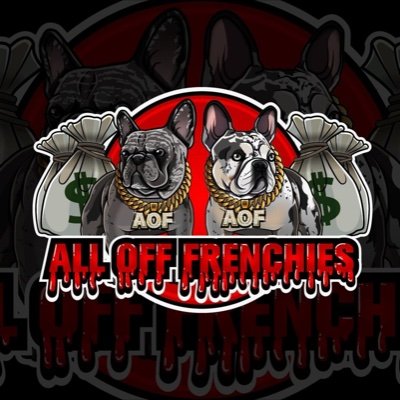 Quality Exotic French Bulldogs              world wide! 🌎 ❗️NOTHING FOR SALE❗️ Akc Registered