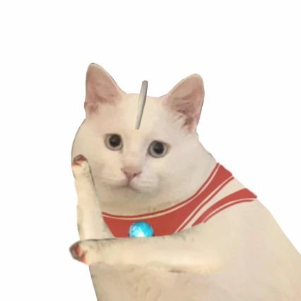 aowang15195187's profile picture. interesting in semiconductor industry/Soviet history/investment     Cat sniffer😽