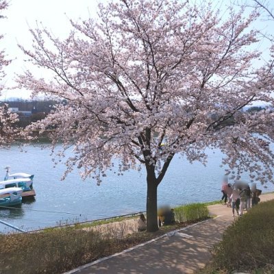 산책은 구원이다.