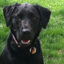 Katrina Lapointe - @Klapointe7 - Twitter