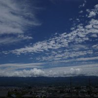 とれちゃ教師退職しました。 (@lbrigqvsr5dmujc) 's Twitter Profile