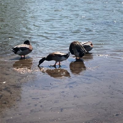 FvxJ4CFDcWain9R's profile picture. 